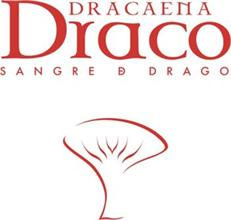 Dracaena Draco